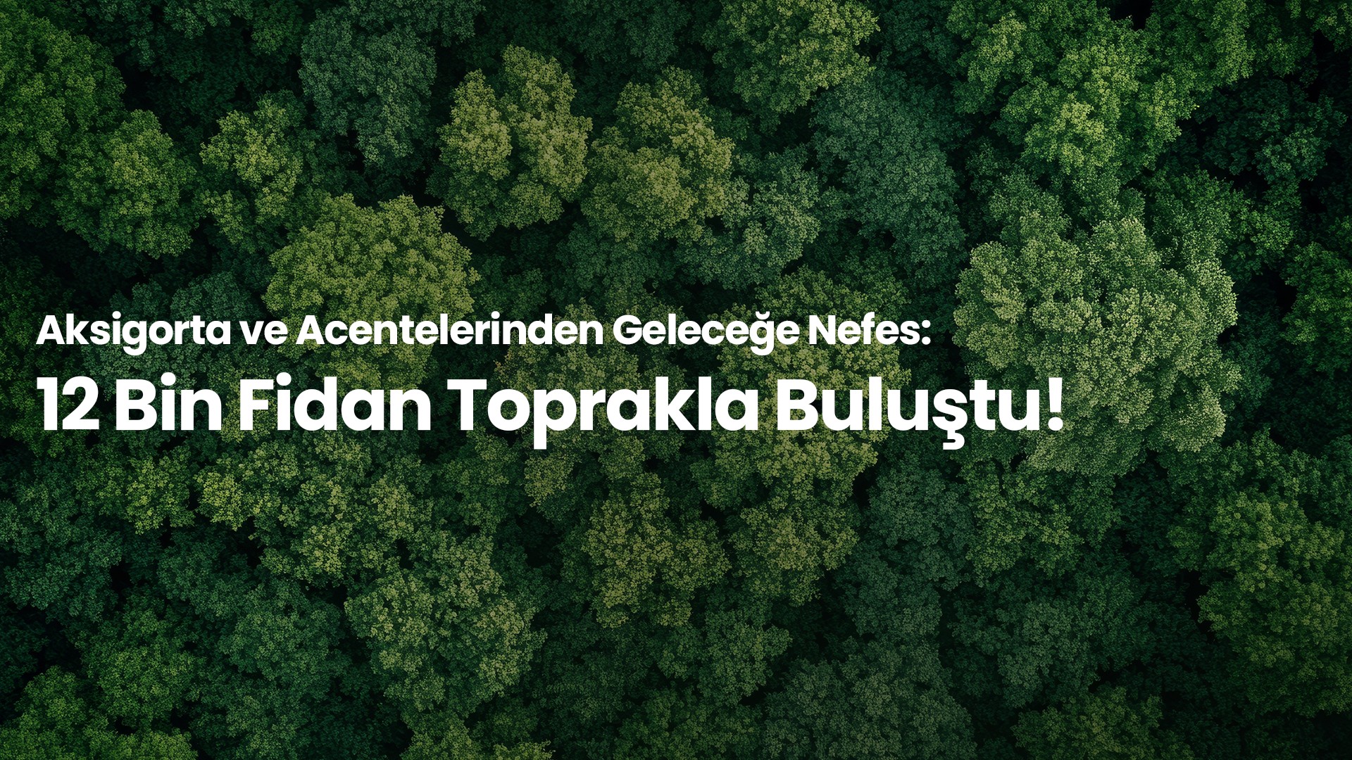 Aksigorta’dan 12 Bin Fidanlık Adım