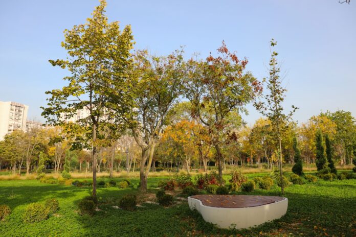 1776839892_Ayamama__3_ Ayamama Yaşam Vadisi