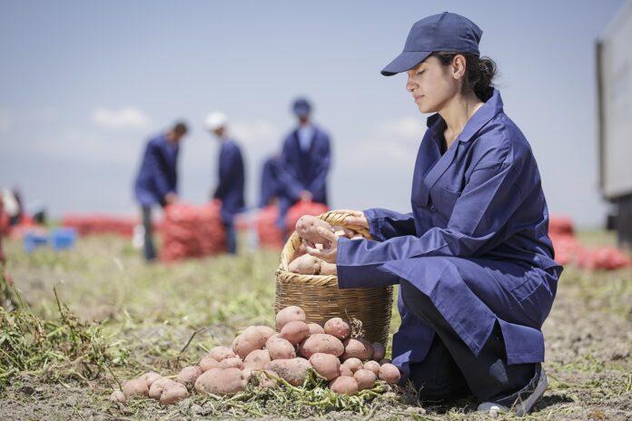 1778541407_Sust3 PepsiCo Türkiye Çiftçiyle Aynı Tarlada