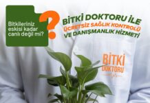 İBB’den Kentte Bitki Bakımına Ücretsiz Uzman Desteği İBB Bitki Doktoru