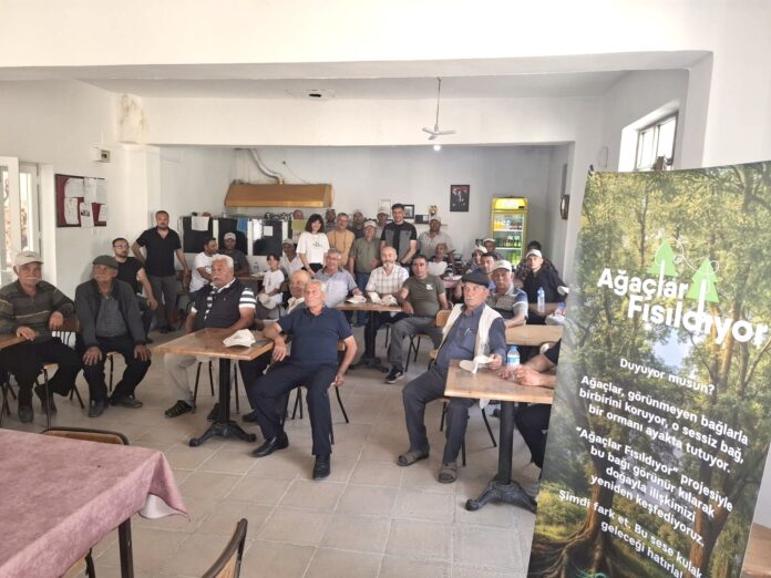Ağaçlar Fısıldıyor