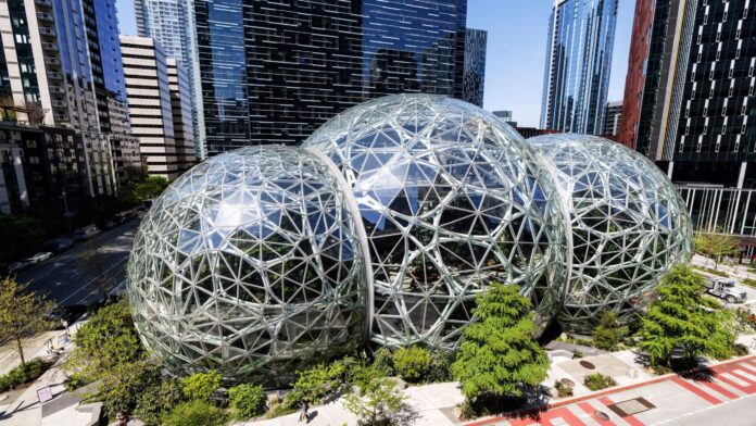 amazon Amazon Karbon Kredisi